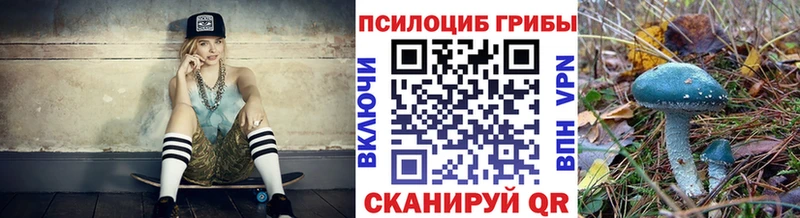 купить наркотик Таруса Галлюциногенные грибы GOLDEN TEACHER