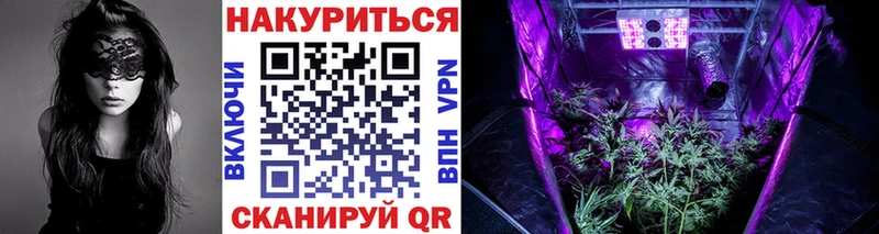 Бошки Шишки план omg ссылки Таруса